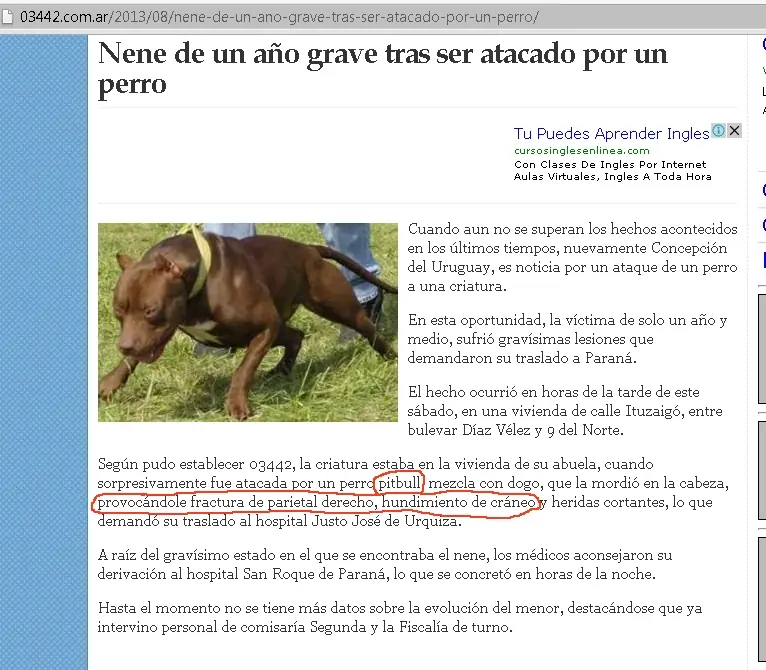 ninos