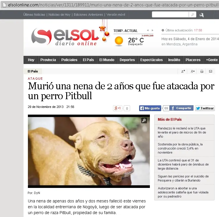 pitbull