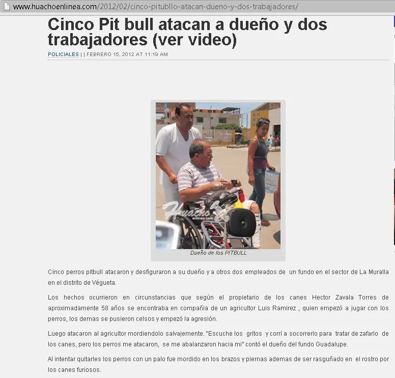 El sangriento negocio de los Pitbull's