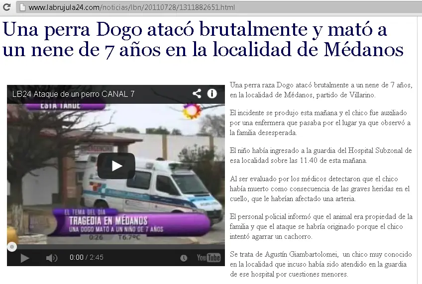 El sangriento negocio de los Pitbull's