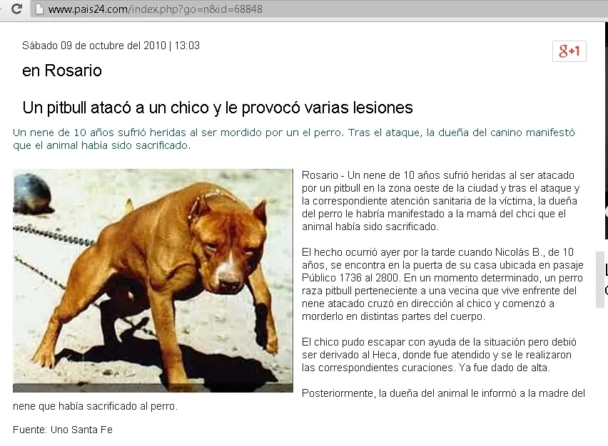 asesino