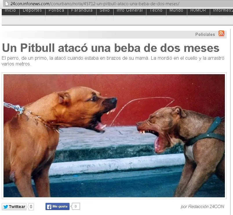El sangriento negocio de los Pitbull's