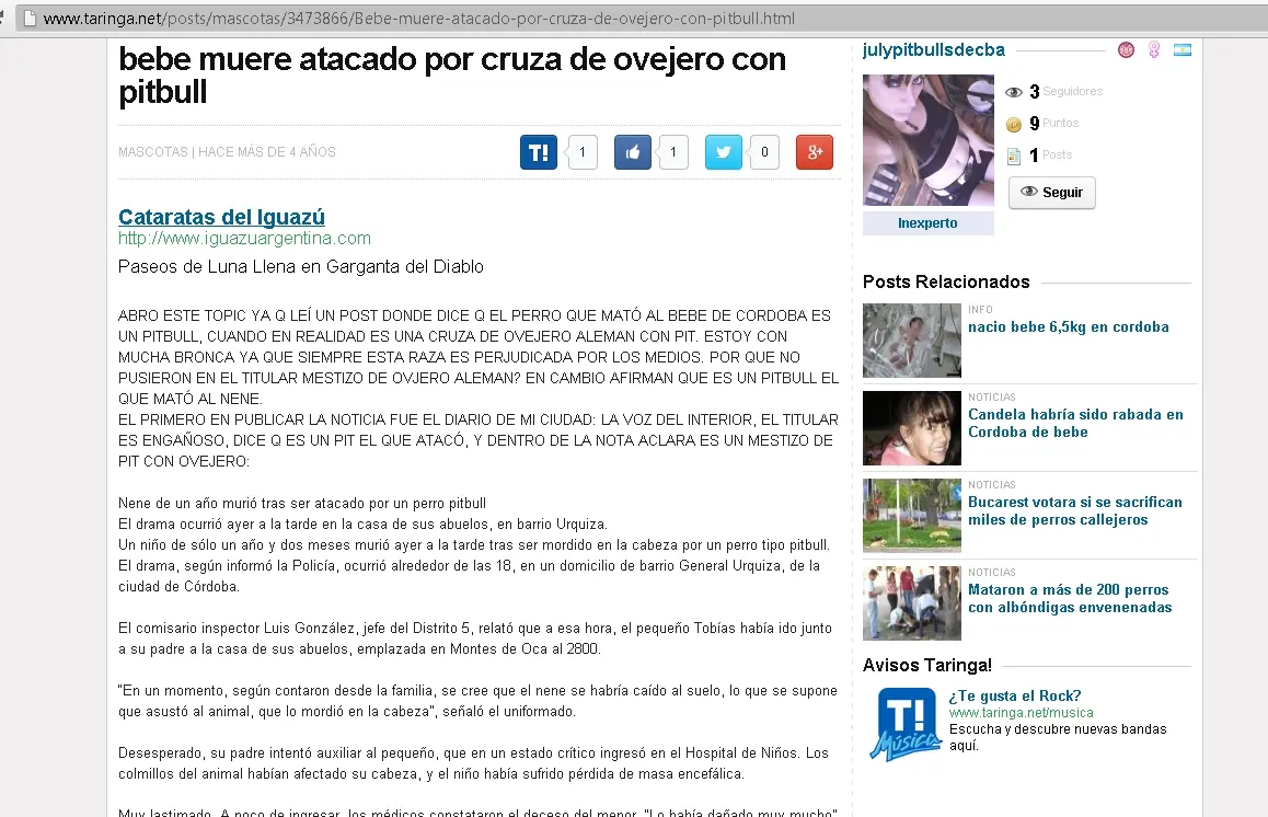asesino