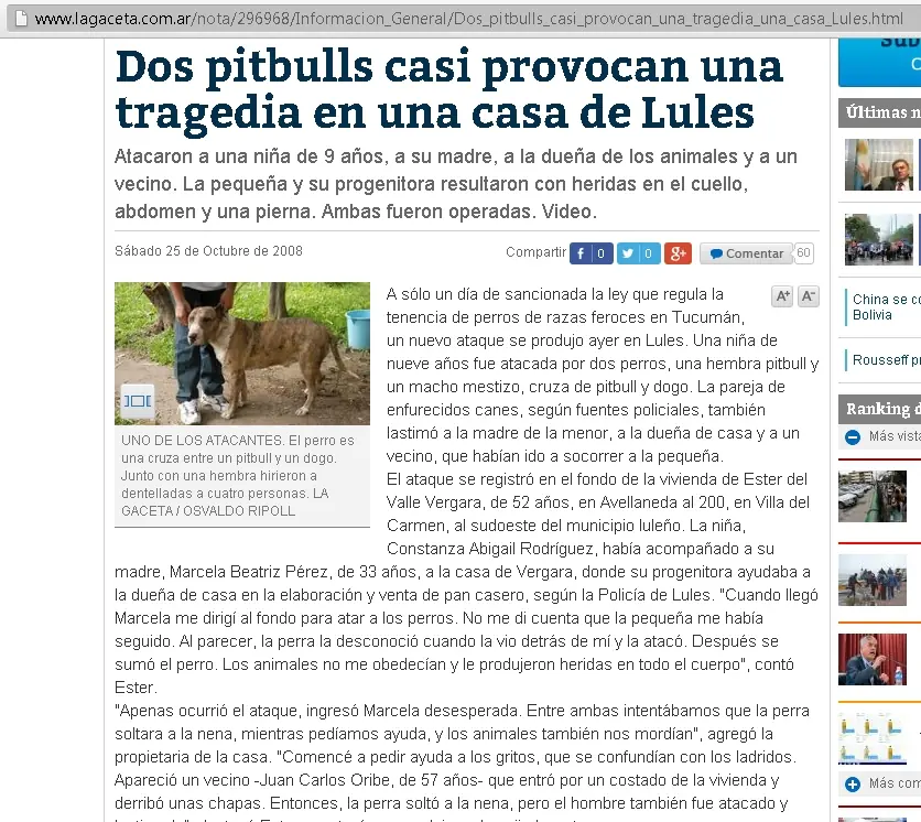 El sangriento negocio de los Pitbull's