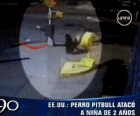 asesino