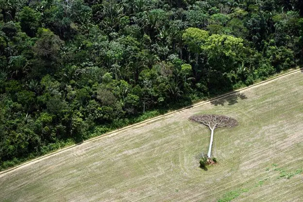 Planeta
