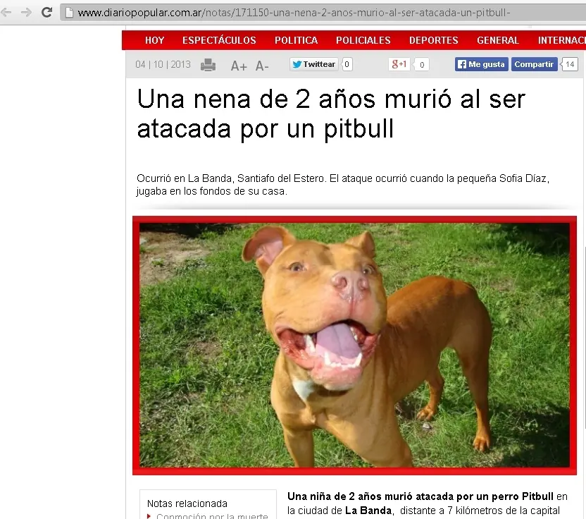 ninos