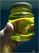 alien