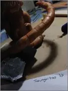 feto