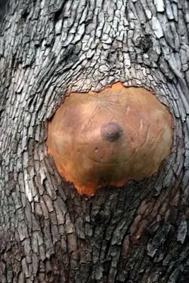 noseusarlabarraespaciadora