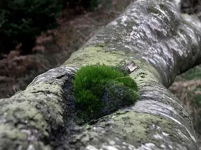 con doble sentido