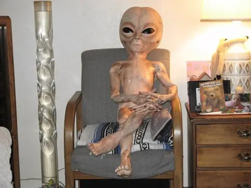 Le hice una protesis a mi reptil y te lo muestro