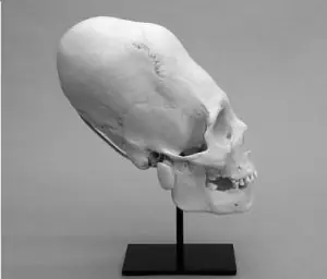 fosiles alienigenas