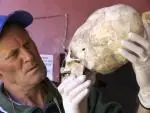 gran descubrimiento,que nos ocultan