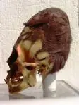 descubrimiento oculto