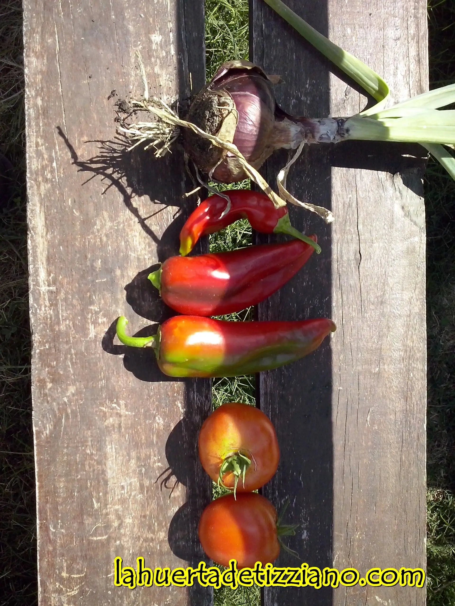 Pasa por mi Huerta..