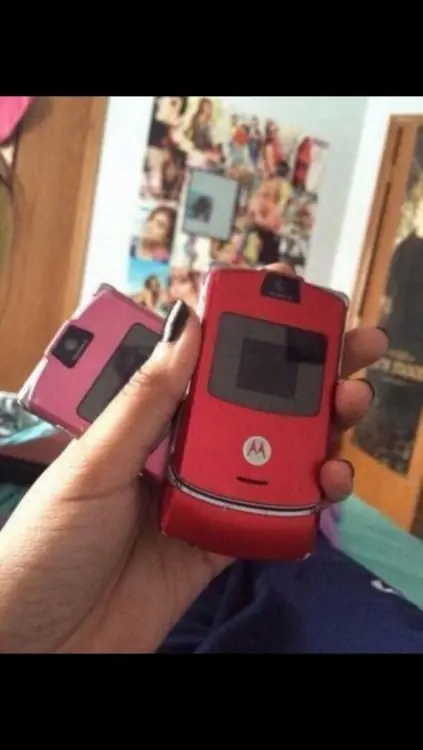 fotos