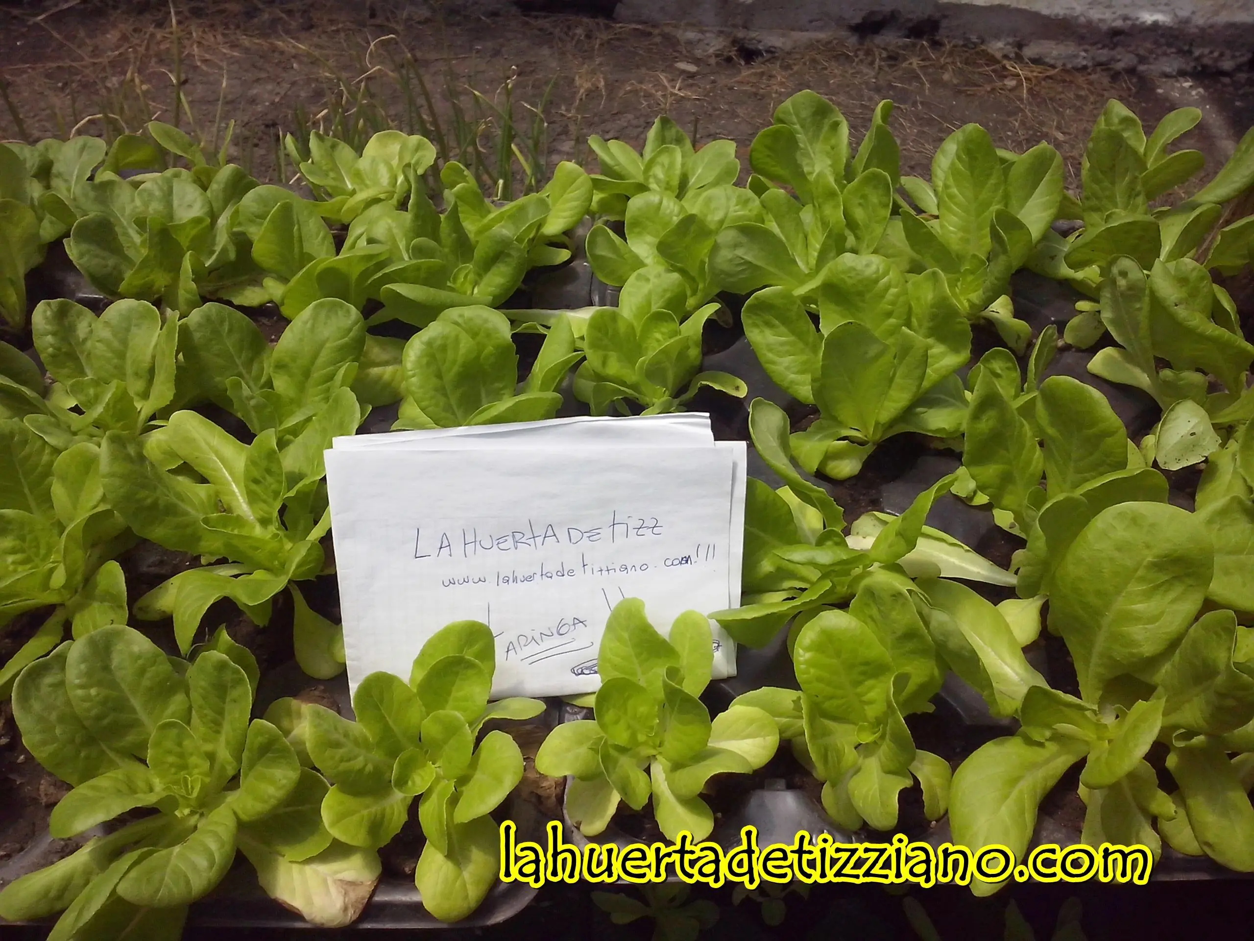 Pasa por mi Huerta..