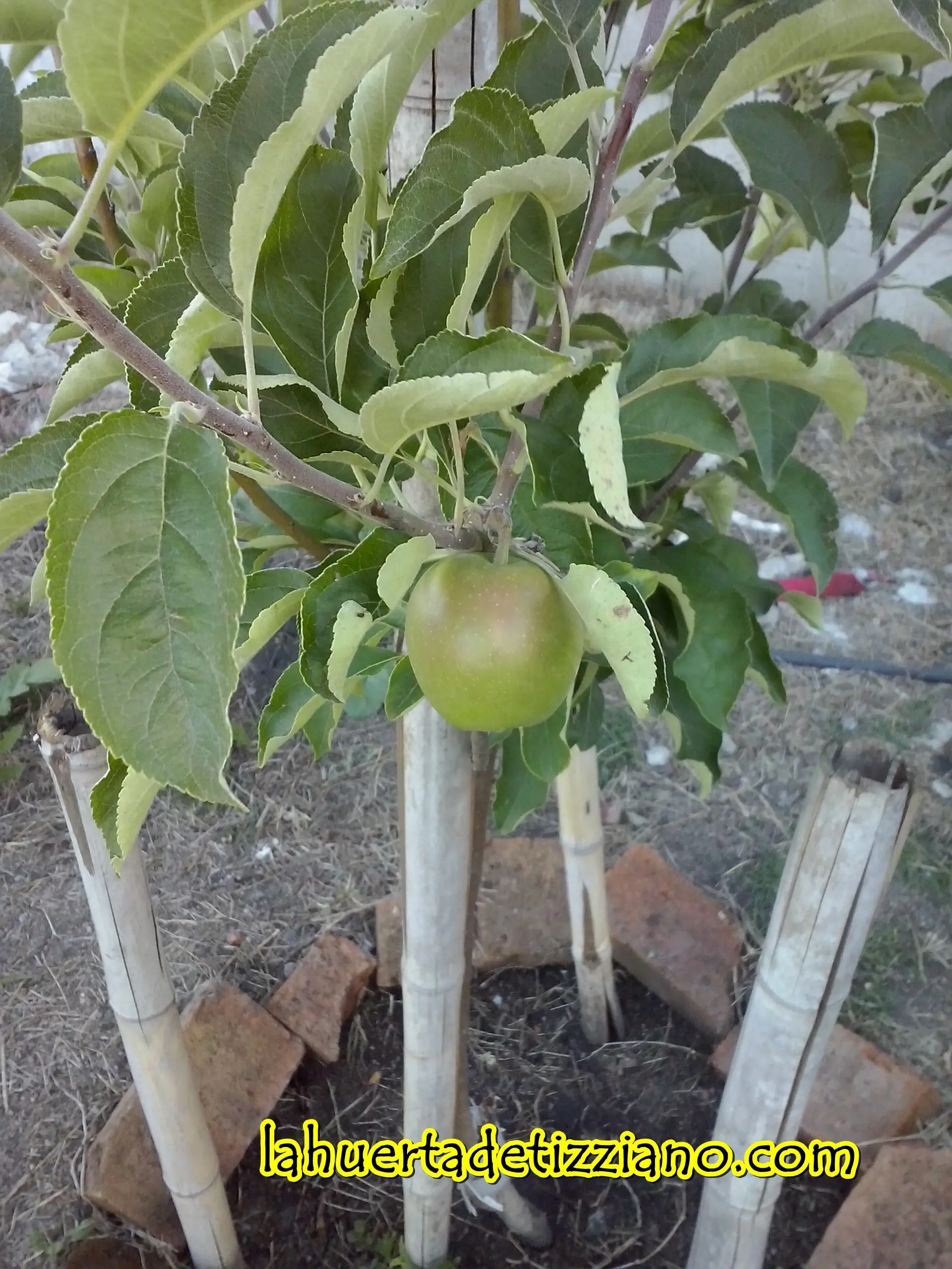 Pasa por mi Huerta..