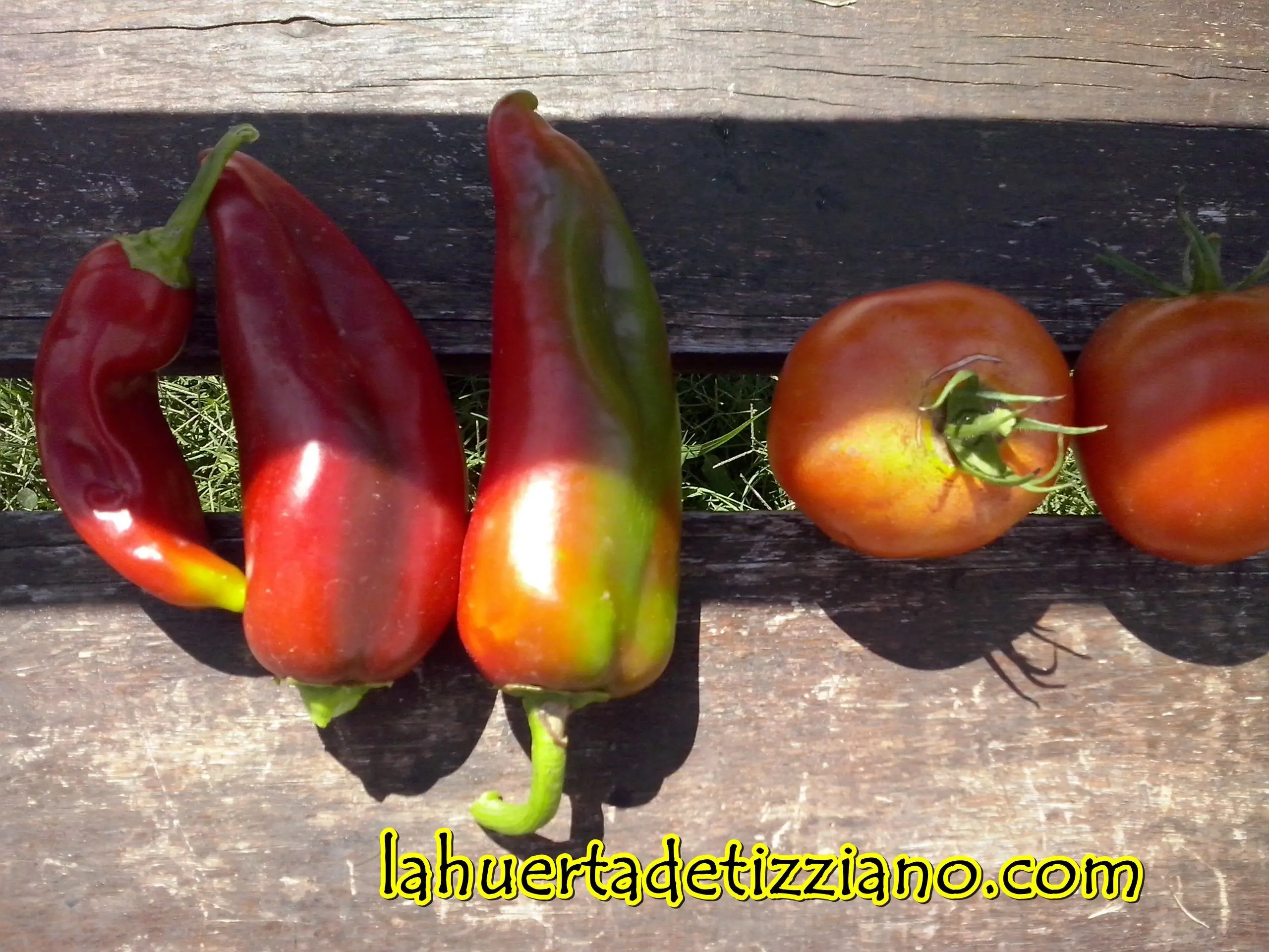 huerta