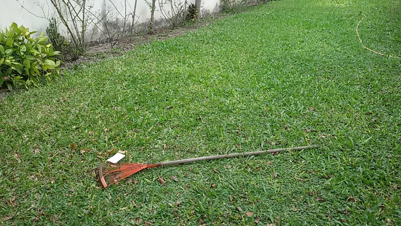 mi primer dia lejos de casa, bastante bien(certificado)