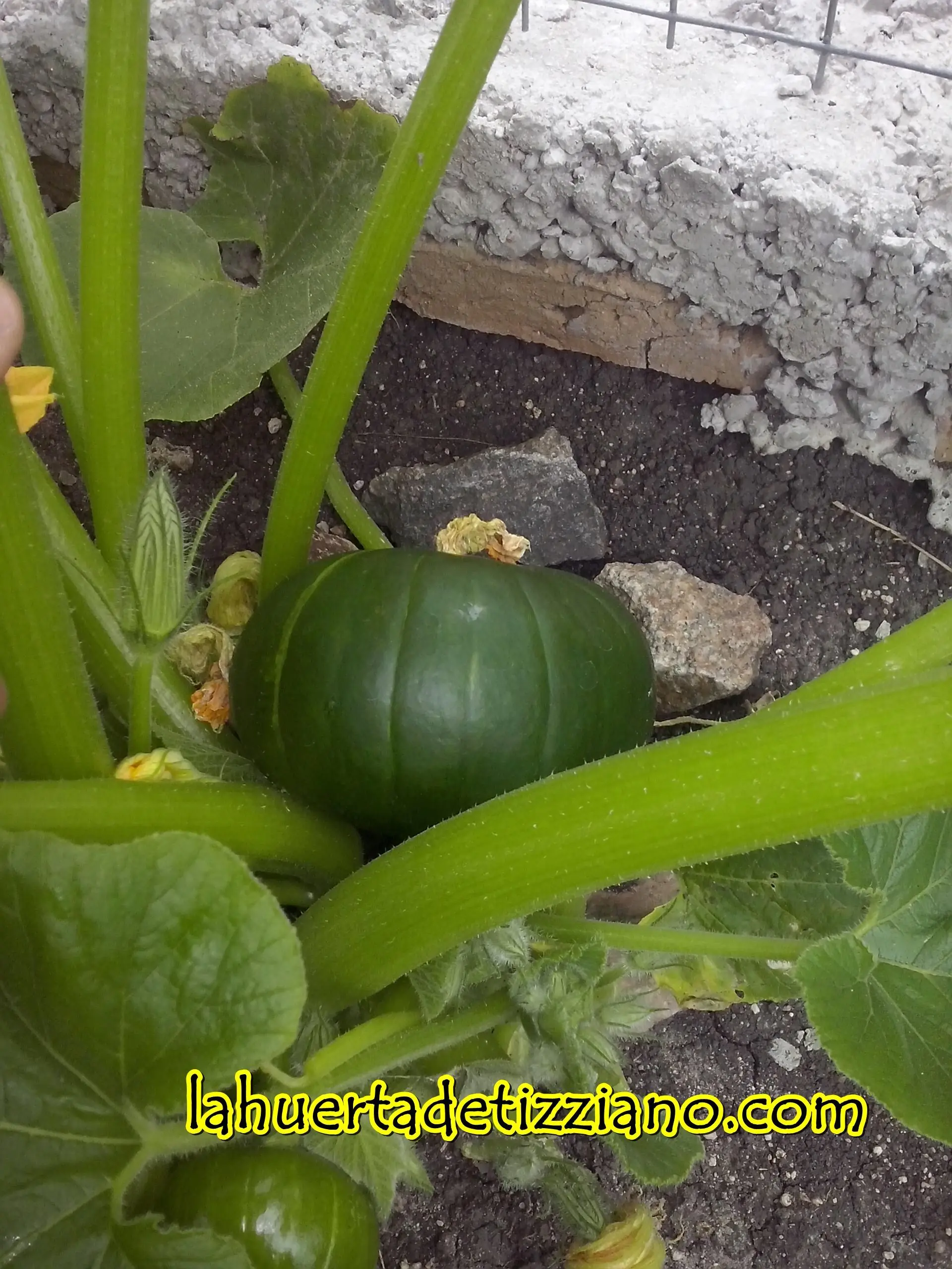 Pasa por mi Huerta..