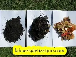 hortalizas