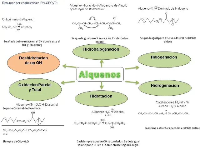 quimica