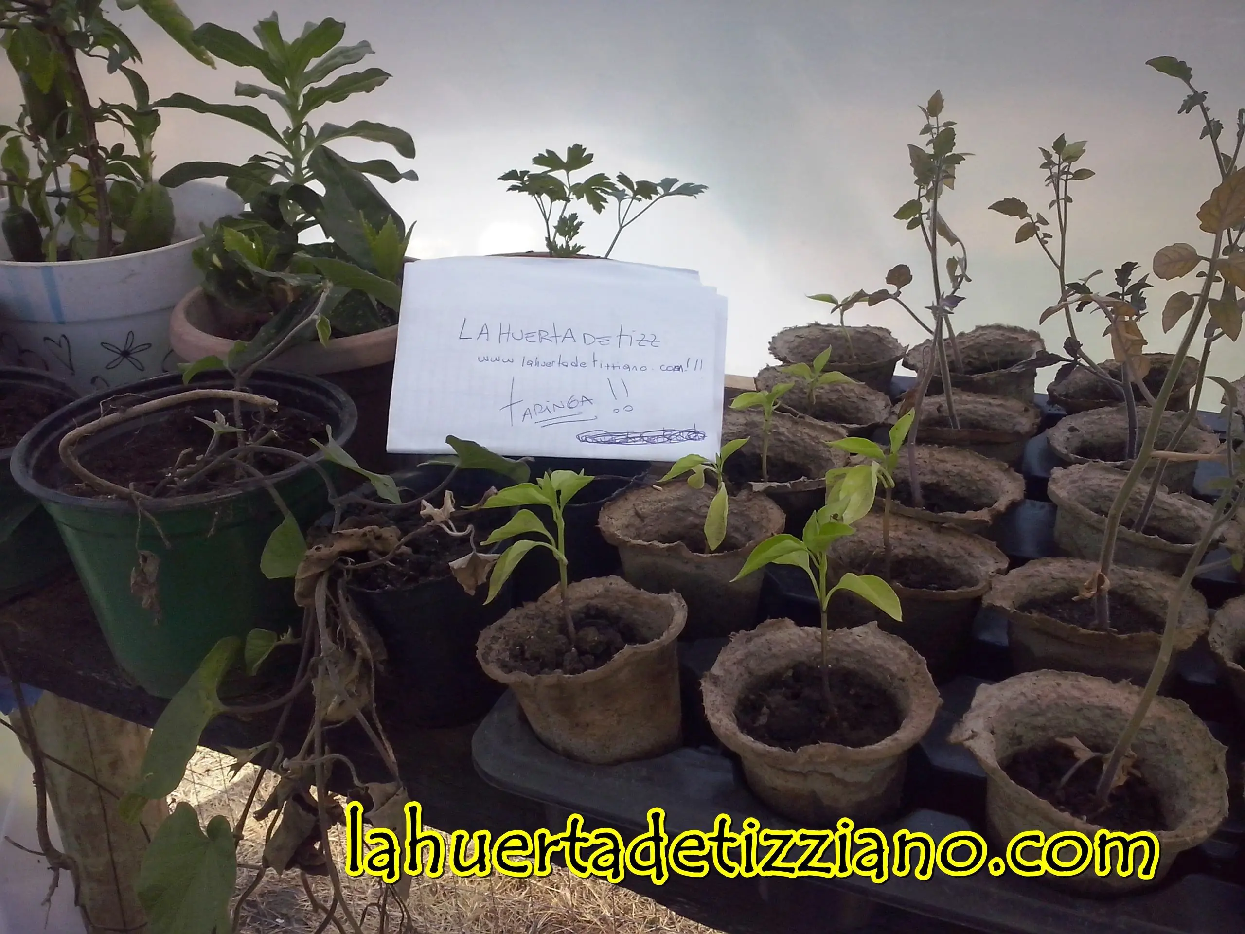 casera