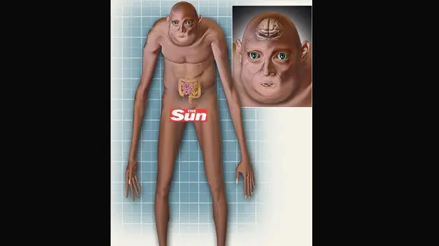 Asi será el hombre en 1000 años