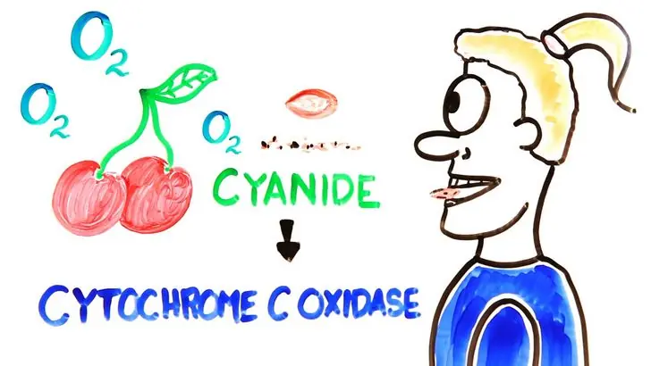 10 cosas cotidianas que (en exceso) podrían matarte