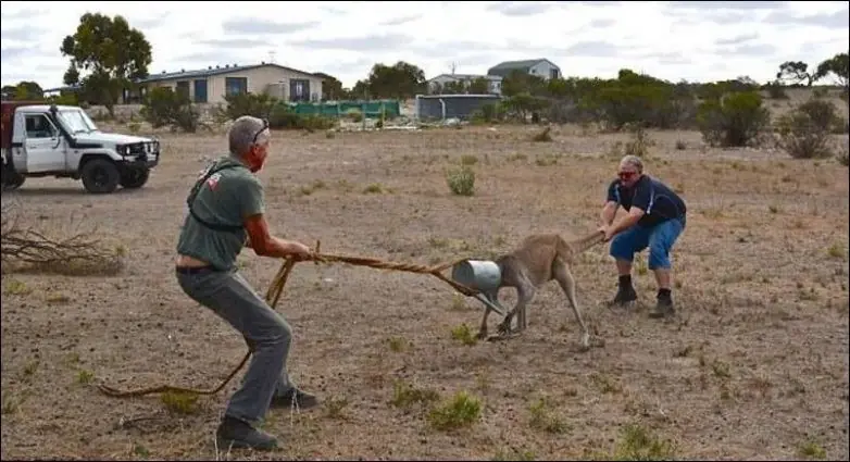 como llegaron ahi
