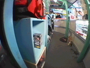 25 Fotos que te mandarán de regreso al año 2000