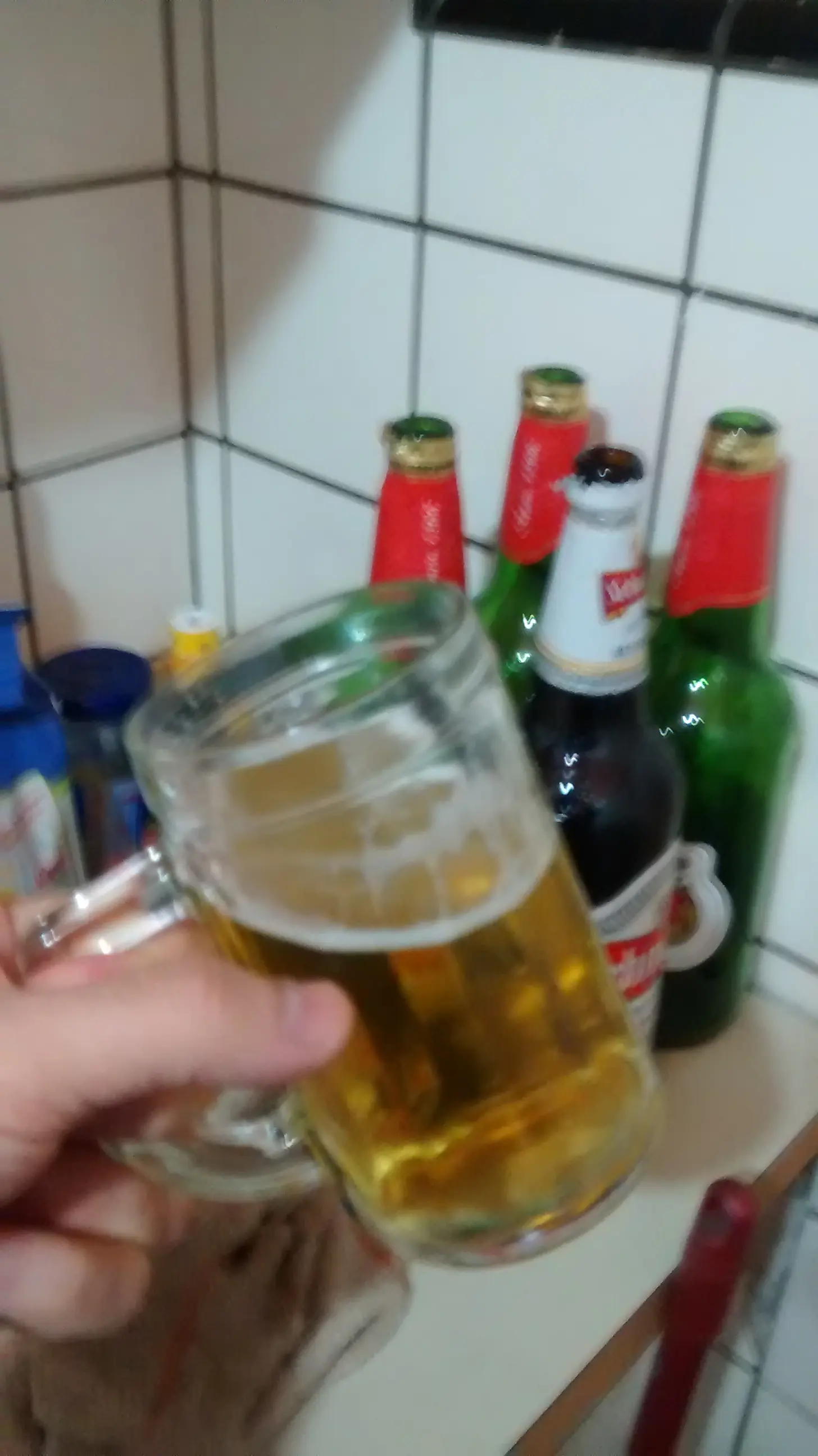 comida rapida y rica