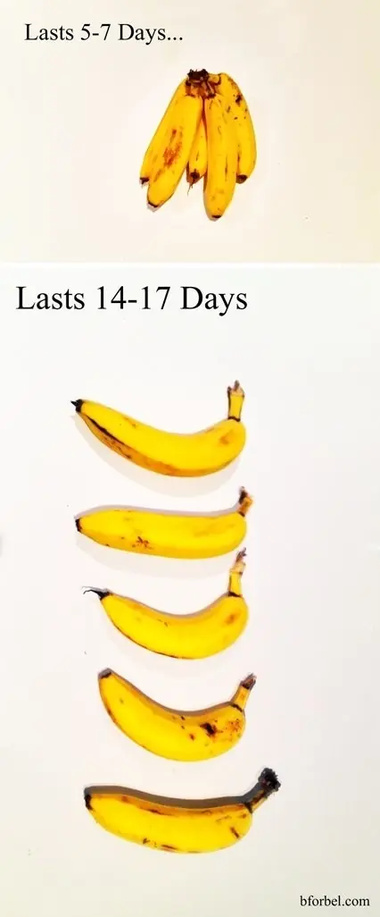 obsolescencia programada