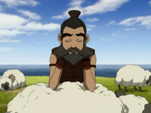 Sokka, el último heroe taringuero