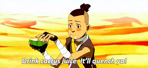 Sokka, el último heroe taringuero