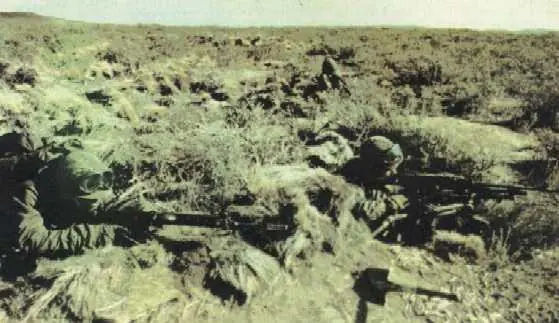 veteranos