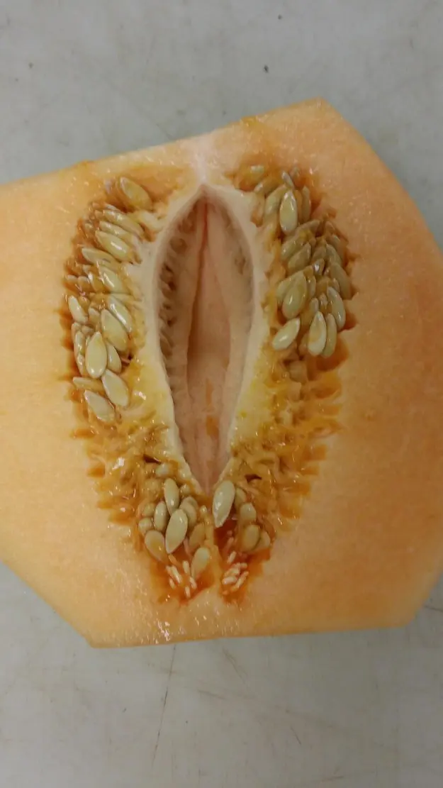 pervertido