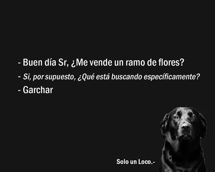 humor