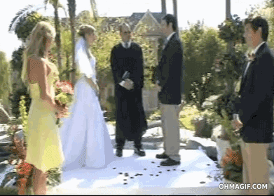 gifs