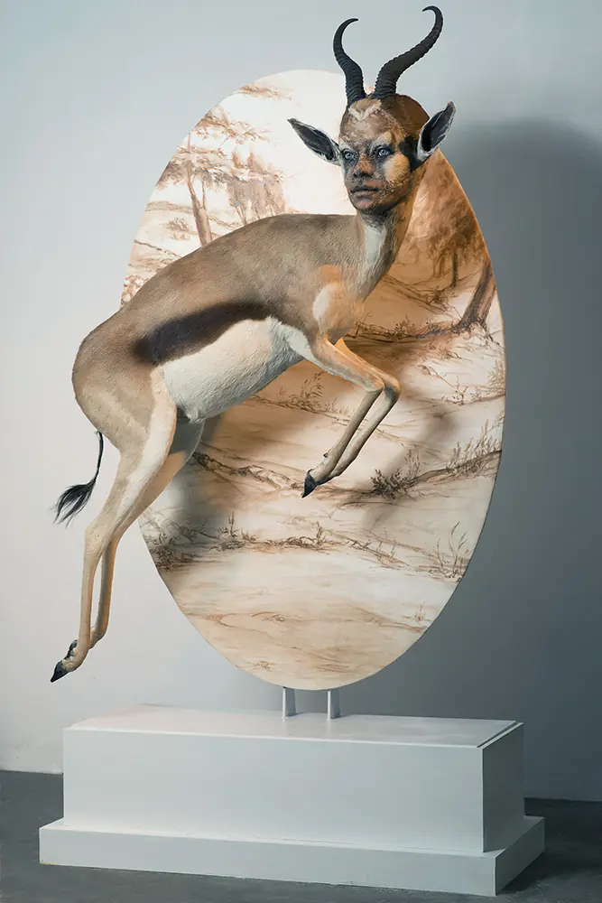 Animales
