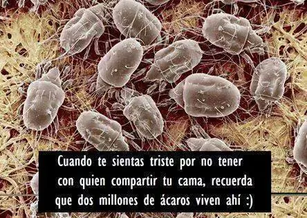 graciosas