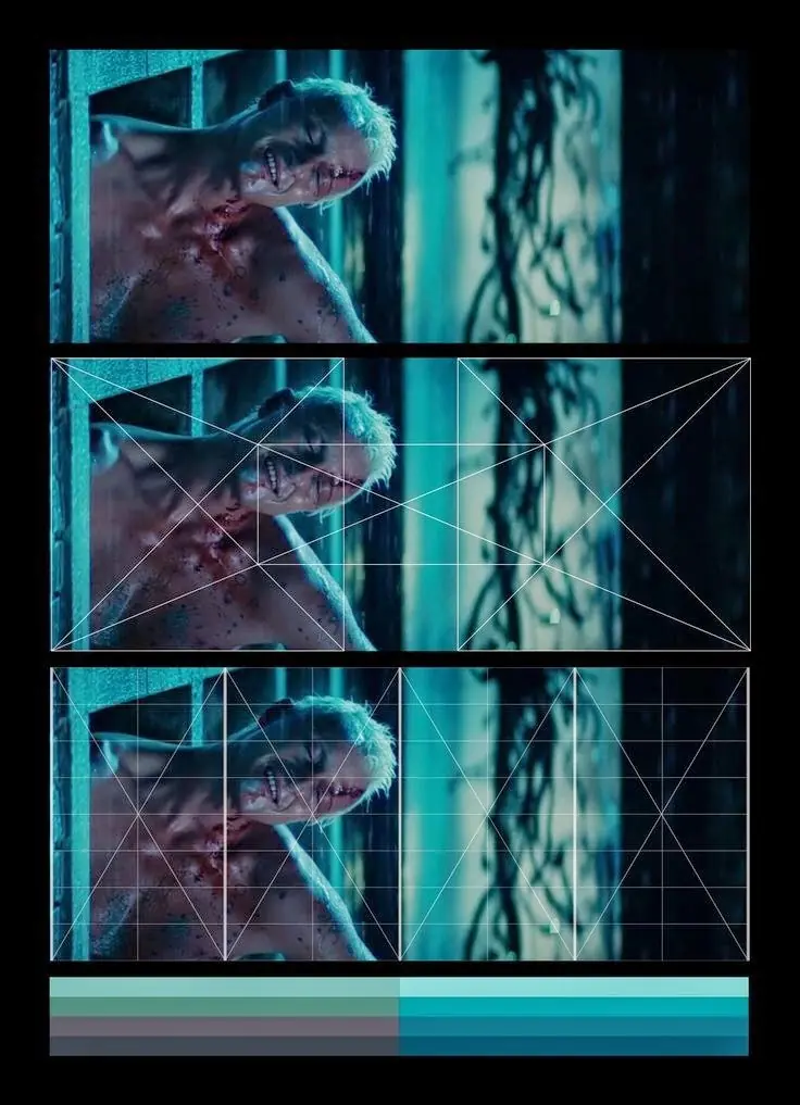 cinematografia