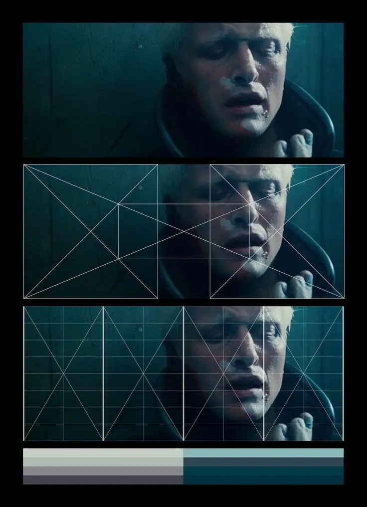 cinematografia