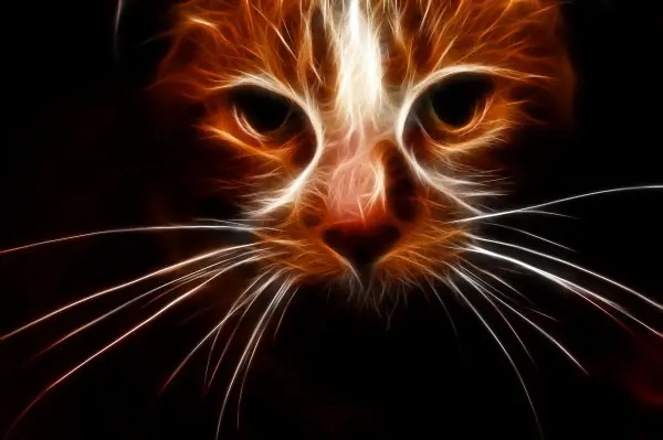 WeaveSilk, mata el aburrimiento pintando con rayos de luz