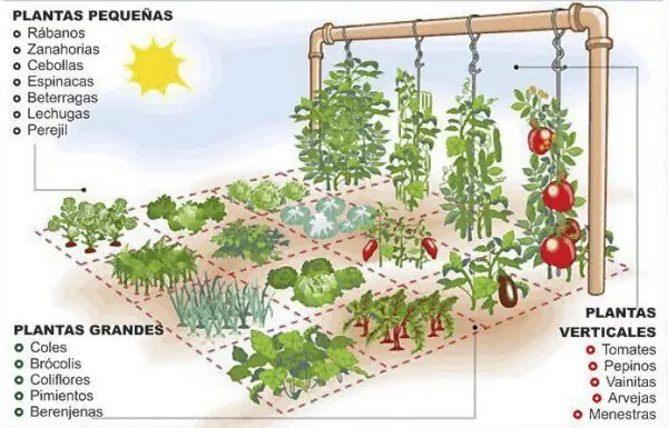 huerta