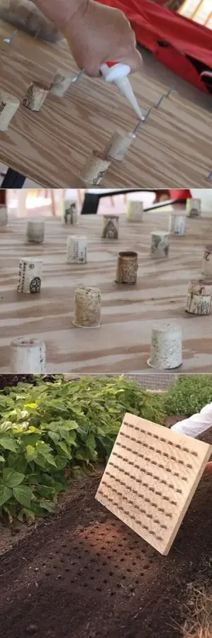 ecologia