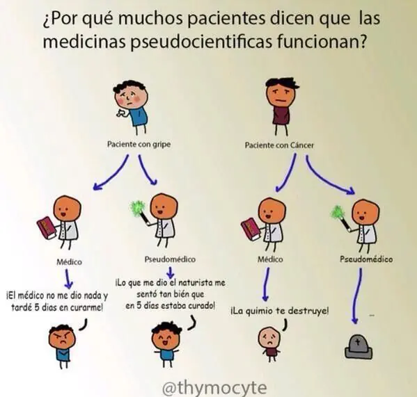 La Estupidez del "A mí me funciona"