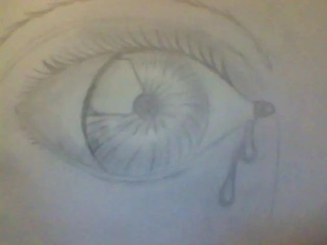 Mis Dibujos